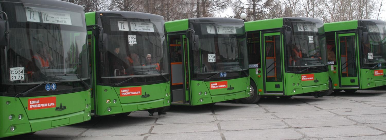 В Новосибирск поступят минские автобусы вместимостью в 100 человек