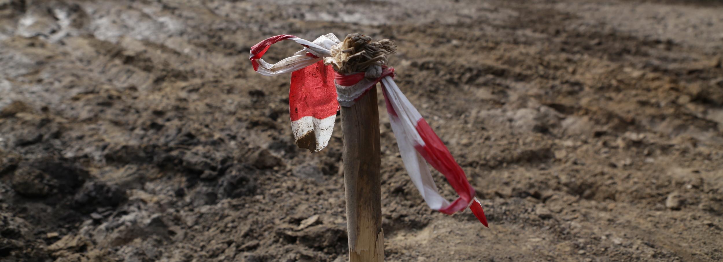 Лес незаконно вырубили ради новых гаражей у реки Камышенки