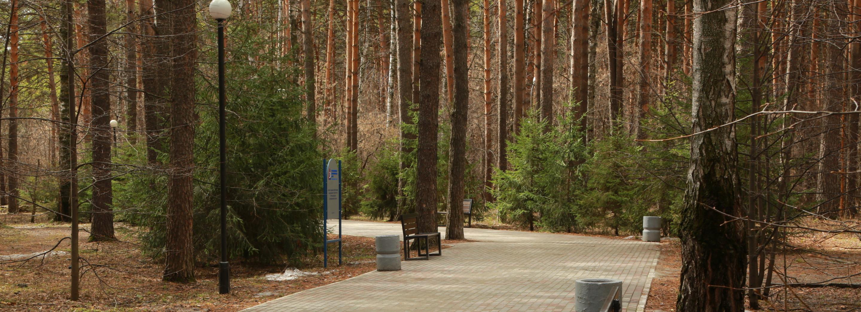 За благоустройство зелёных зон проголосовали 95 тысяч новосибирцев