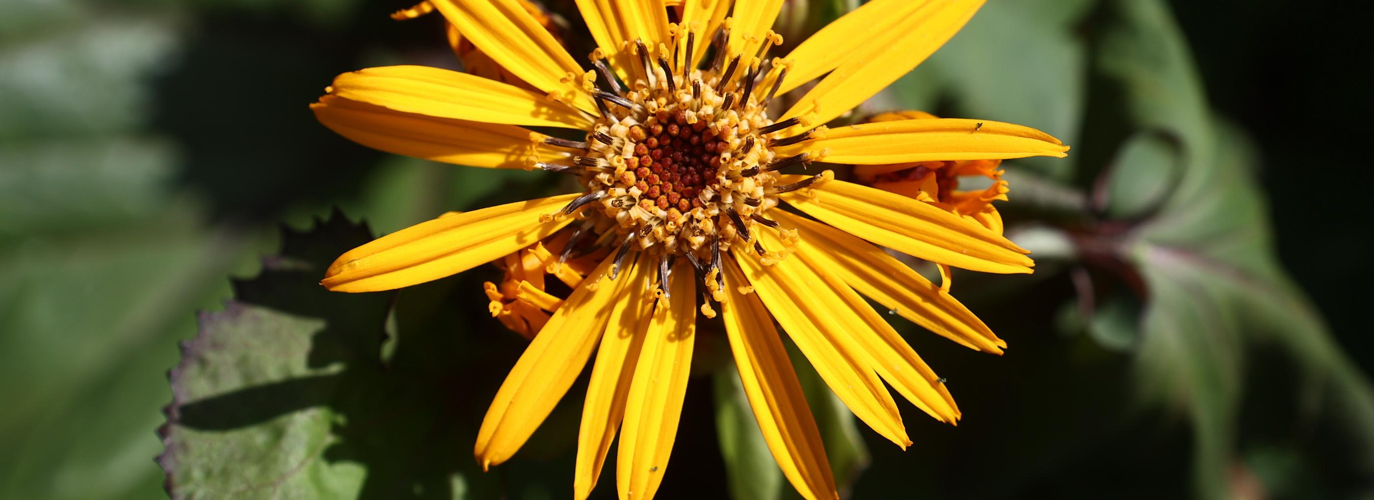 Островок радости: как активисты преобразили детскую площадку на Гоголя