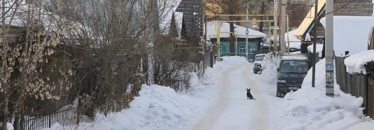 Первую «сельскую ипотеку» под 2,7% годовых выдали в Новосибирске
