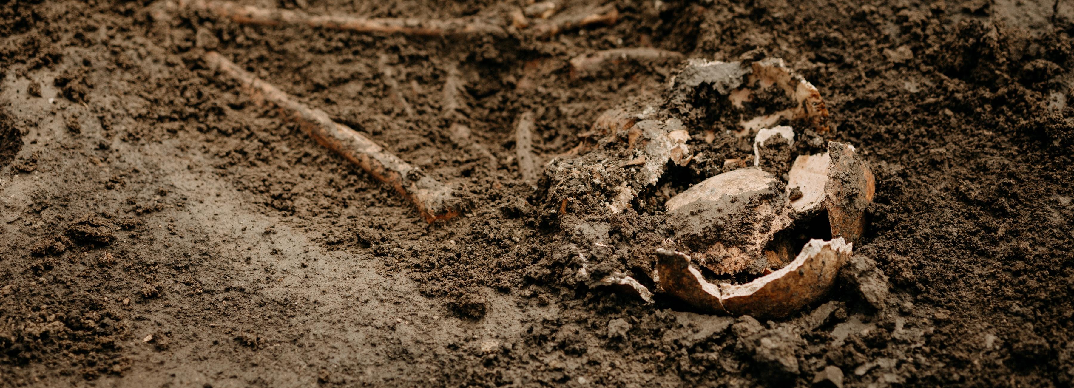 Курган и 48 древних стоянок взяли под охрану в Новосибирской области