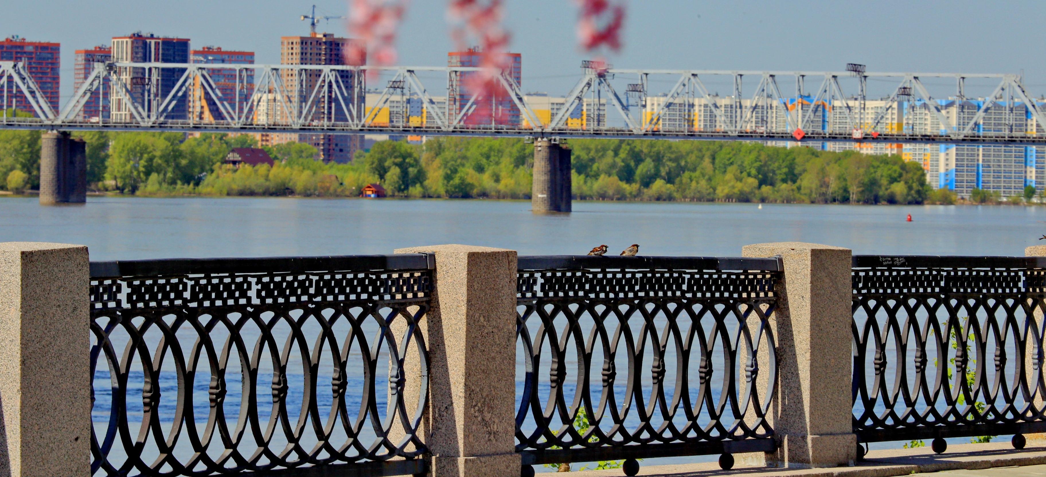 Пешеходную галерею начали строить под Октябрьским мостом в Новосибирске