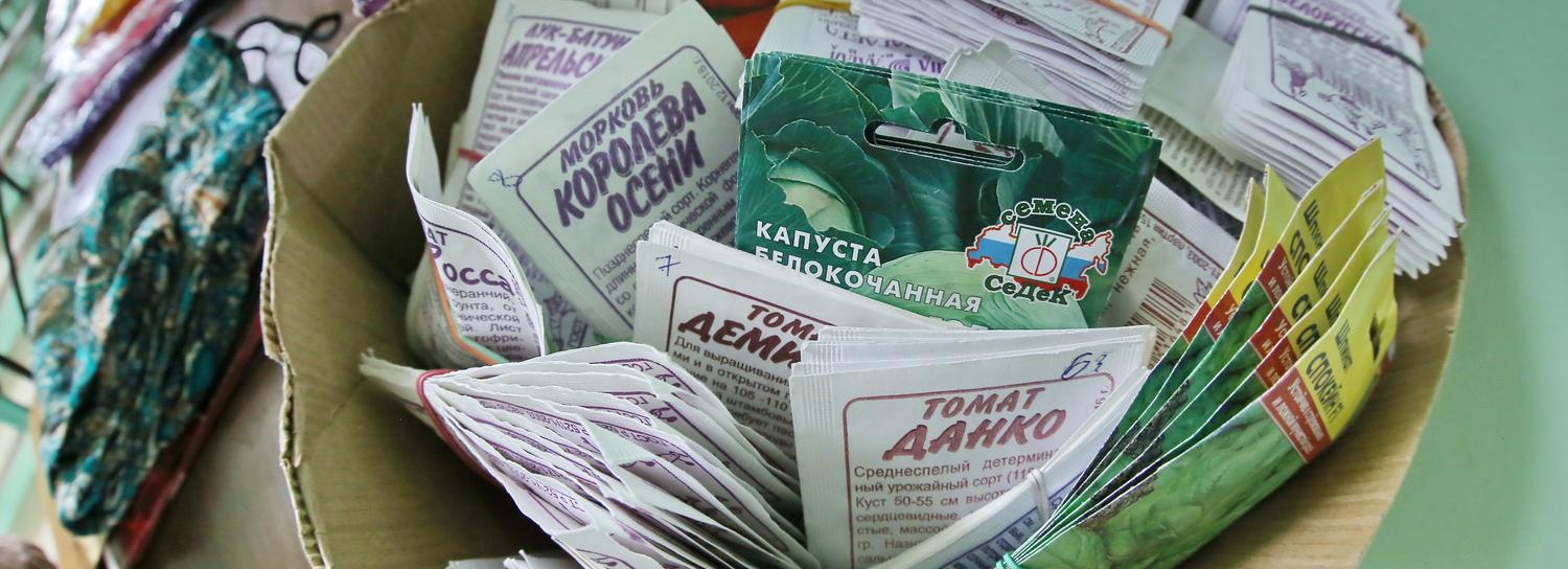 Какие семена и саженцы не стоит покупать — объясняет Россельхознадзор