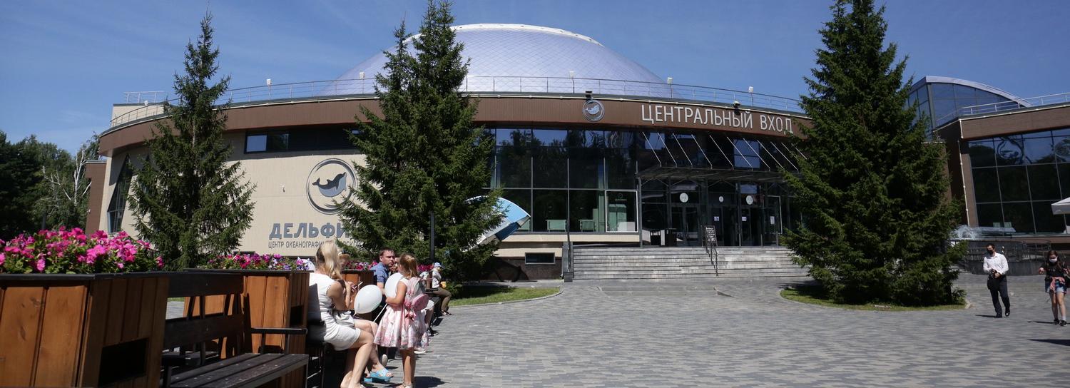 Открывшийся после карантина дельфинарий даёт по три шоу в день