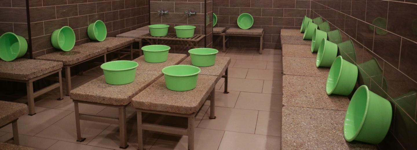 Шагнуть в дзен: правила посещения бани для «чайников»