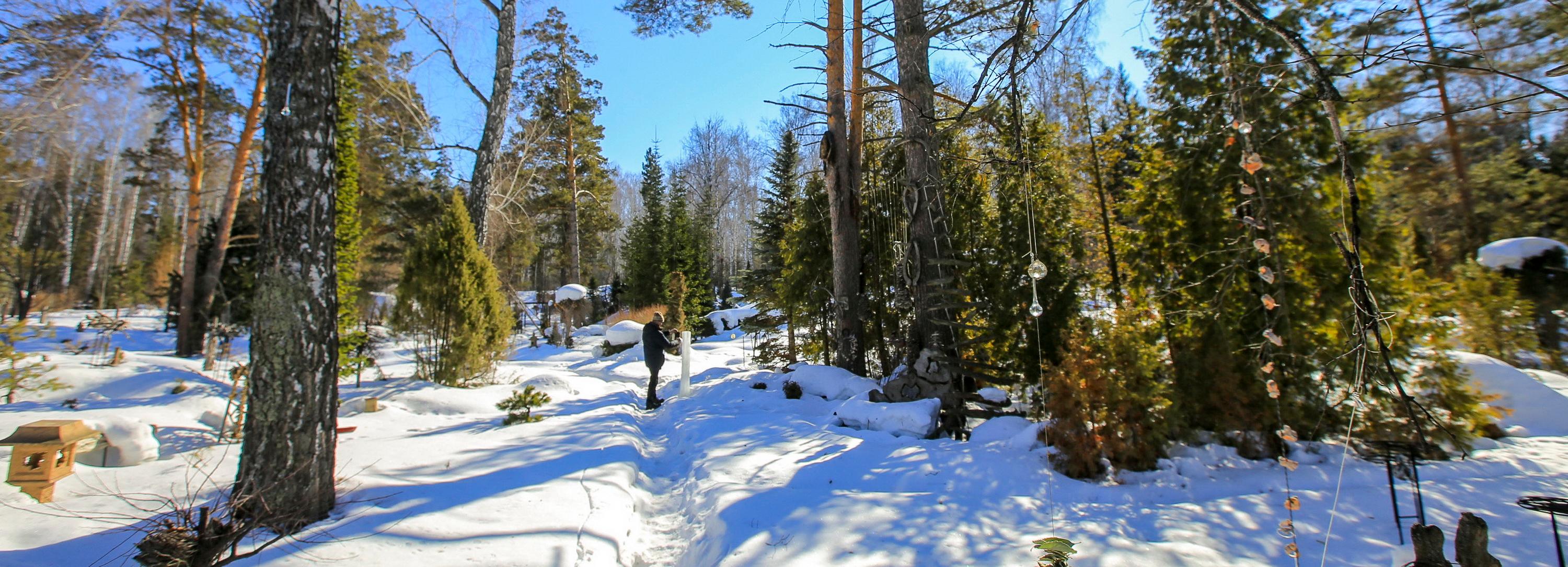 Парк Бонсай готовится к наплыву туристов, русалок и сисадминов
