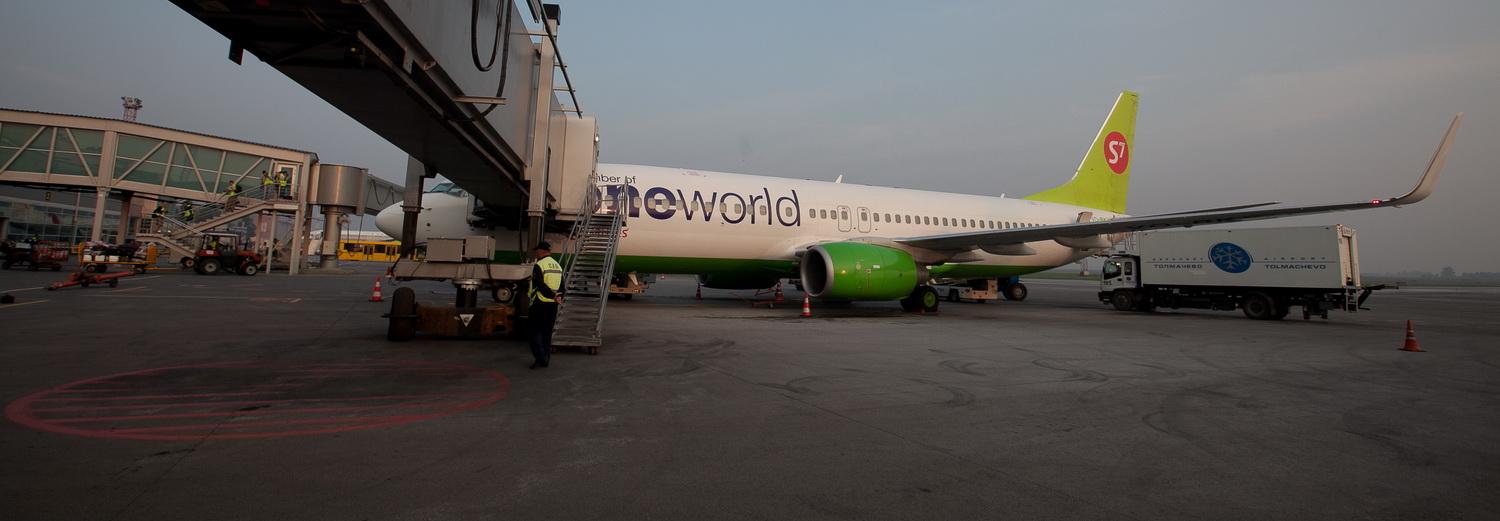 Площадь перед аэропортом Толмачёво начали дезинфицировать