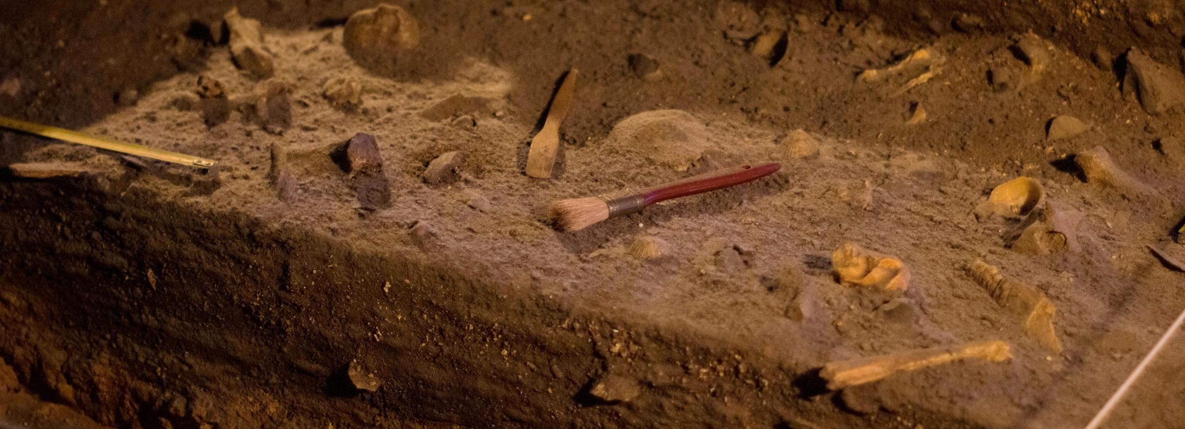 Загадочные курганы с «усами» изучают археологи под Новосибирском