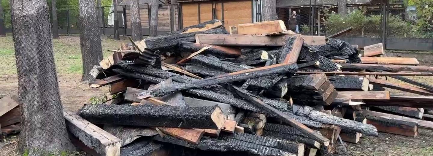 О состоянии спасённых из пожара зверей рассказали в зоопарке Новосибирска