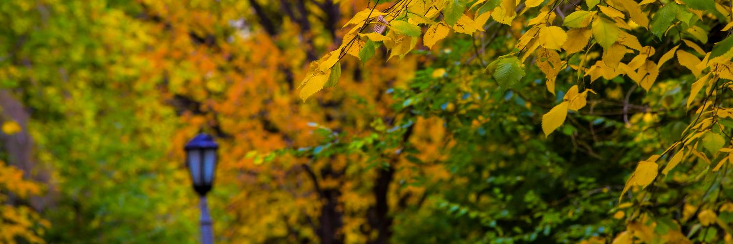 Время дождей: 50 грустных песен для осени