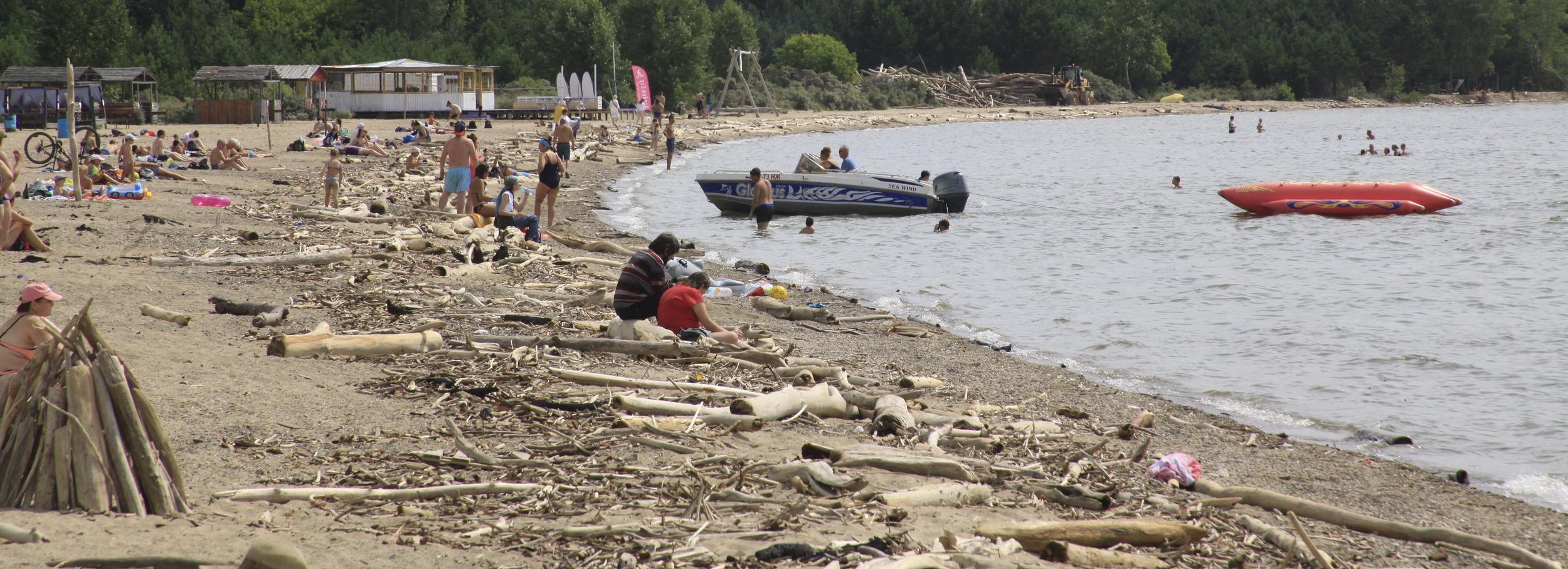 «Зелёный субботник» с бардами устроят на пляже Академгородка