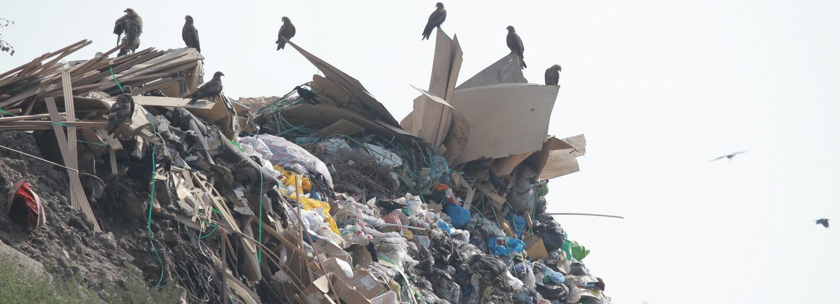 Мэрия опровергла сообщение о пожаре на Левобережном мусорном полигоне