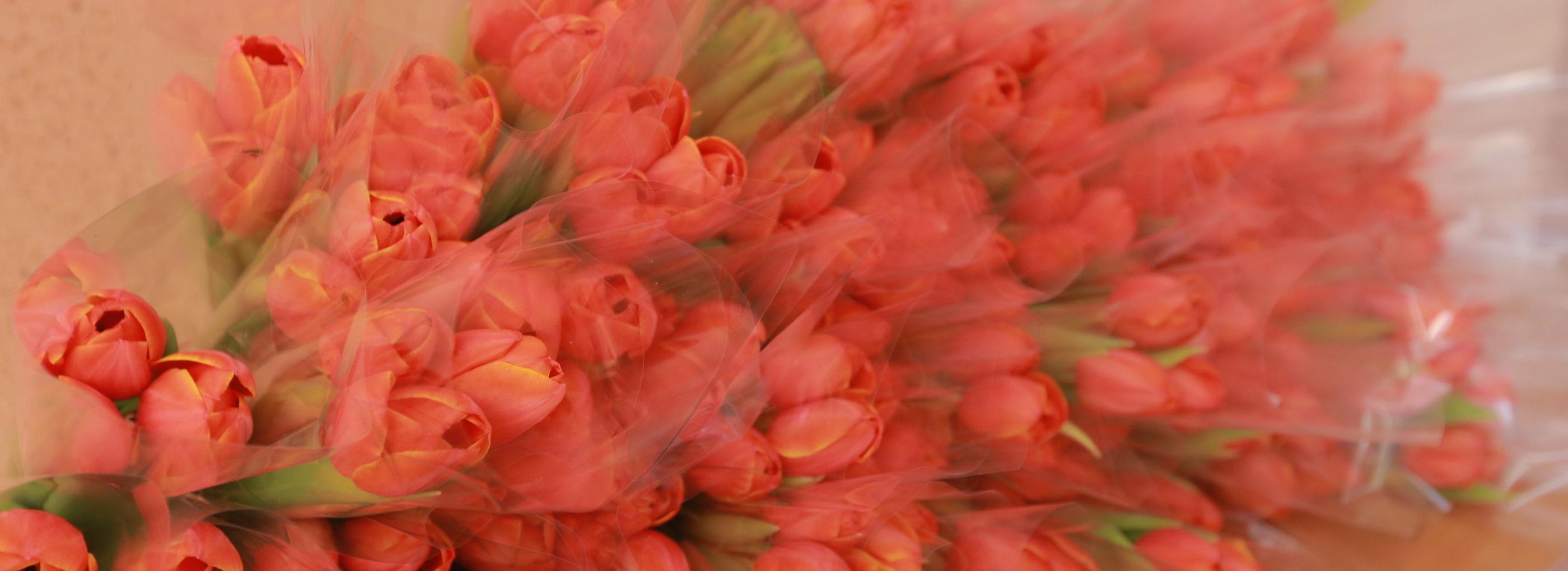 Хоомейжи и женская проза: как отпразднуют 8 Марта в Новосибирске