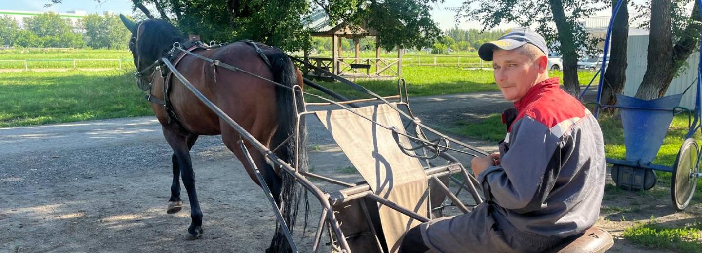 Новосибирских лошадей готовят к большим заездам: экскурсия по ипподрому