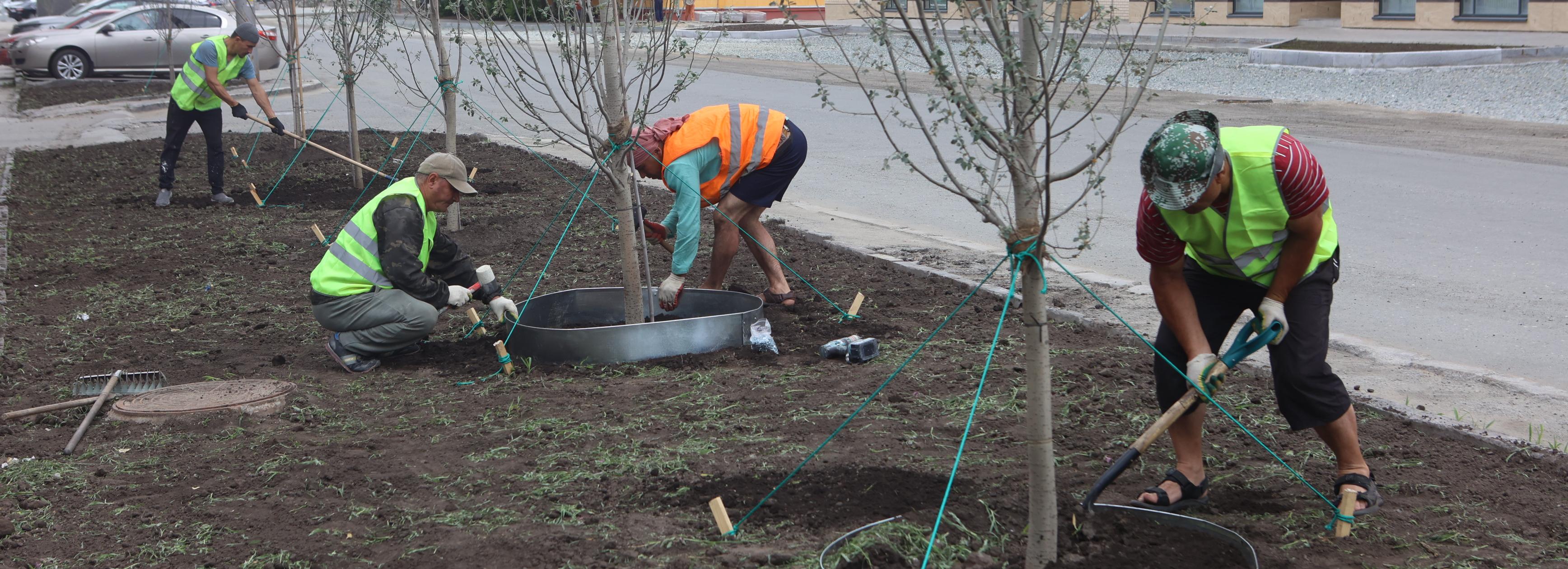 700 деревьев и кустарников: мэр Кудрявцев оценил озеленение на Красина