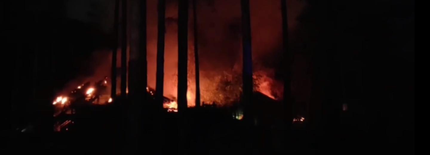 Мэр Кудрявцев: работники Новосибирского зоопарка в огне не пострадали