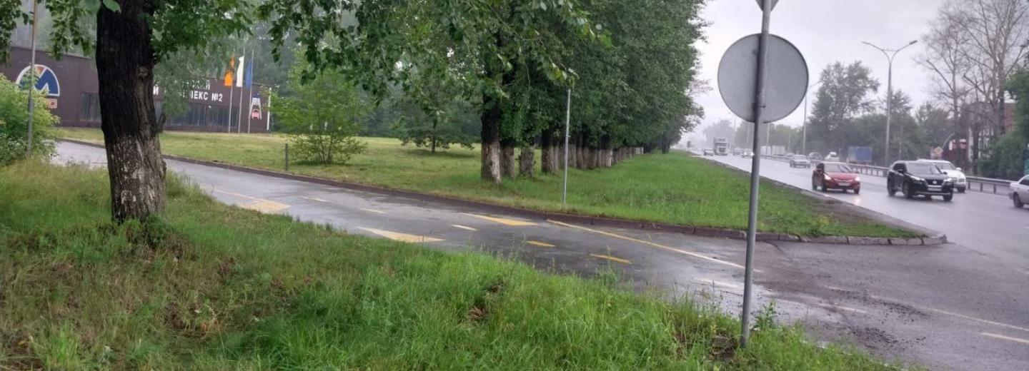 Санитарная обрезка тополей повысила безопасность на Бердском шоссе