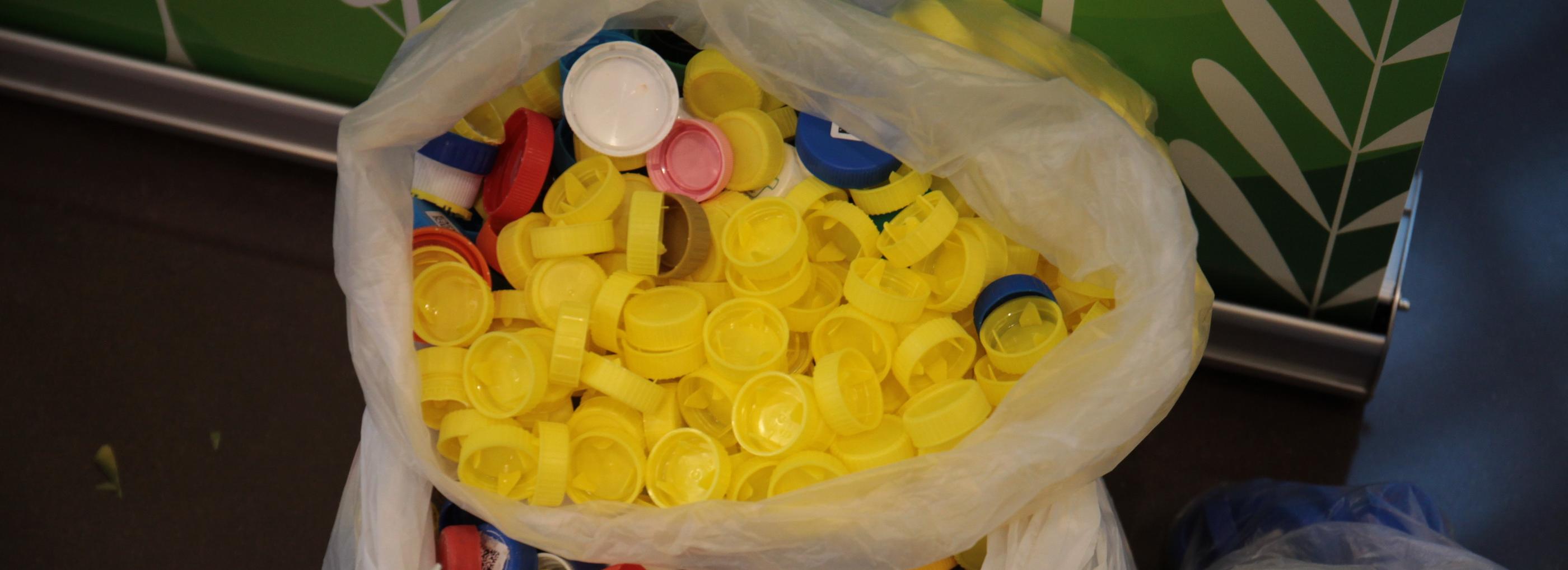 2150 кг пластиковых крышечек сдали новосибирцы в Центральном парке