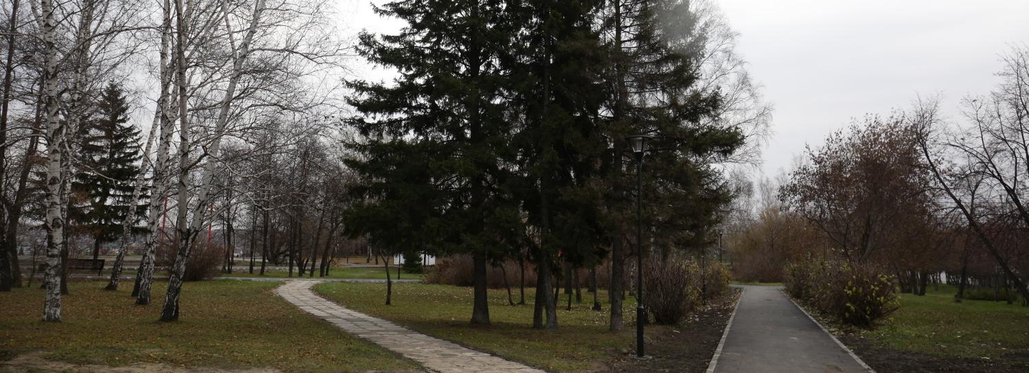 Опрос: нужен ли Новосибирску сквер 300-летия Кузбасса