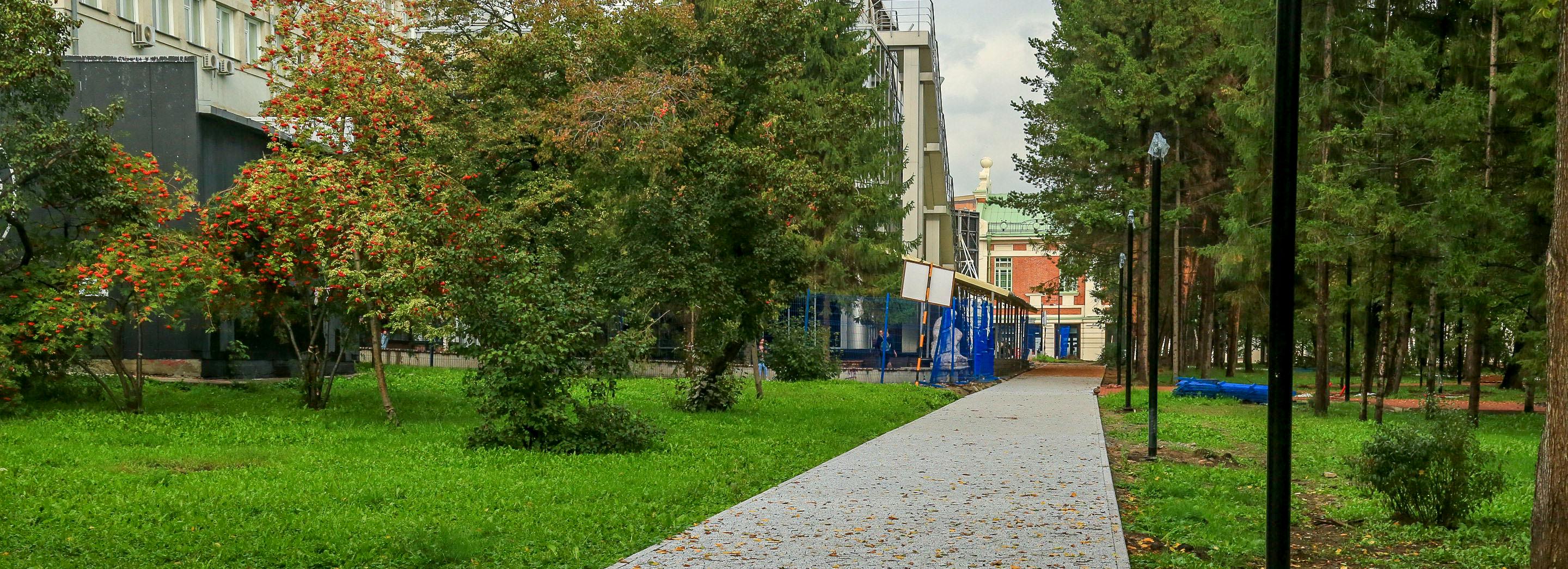 Больше 1000 многолетних цветов высадили в Первомайском сквере