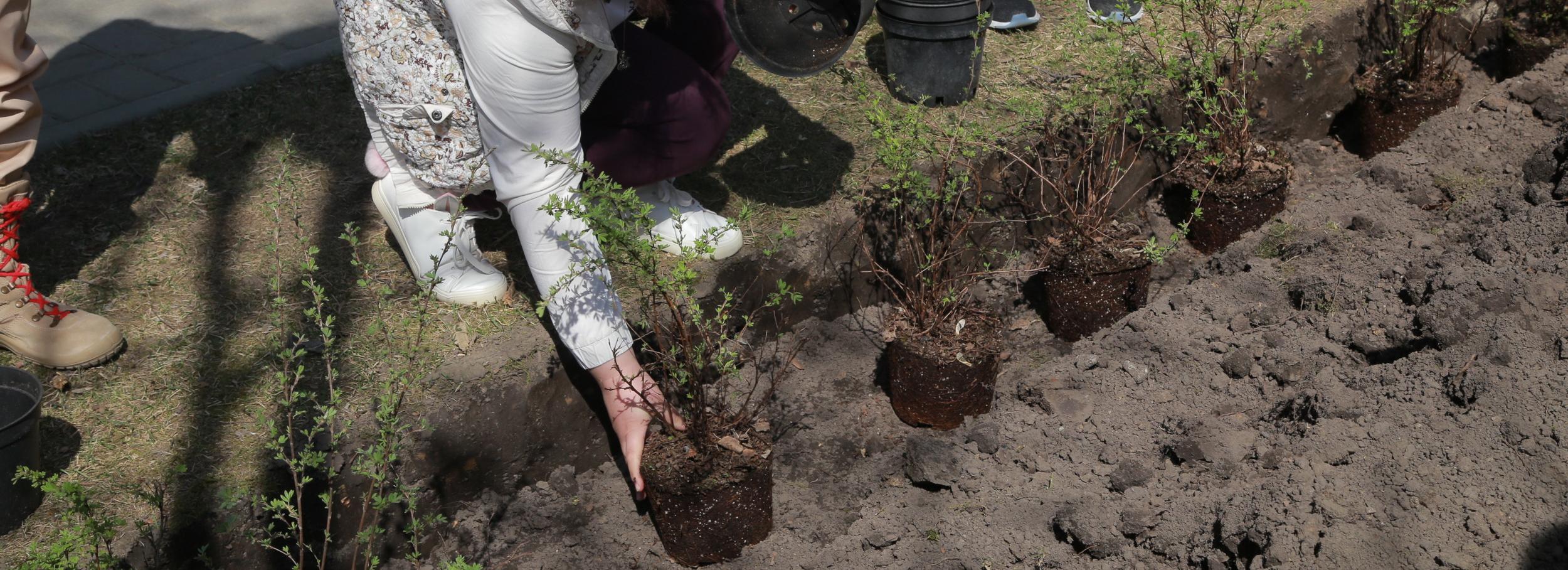 Синичкин сквер и парк Победы появятся в Новосибирске на гранты для ТОС