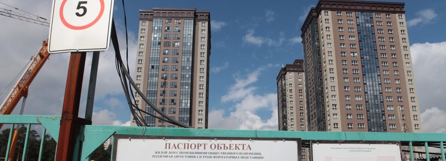 Прокладку коммуникаций на Богдашке остановили из-за угрозы голубым елям