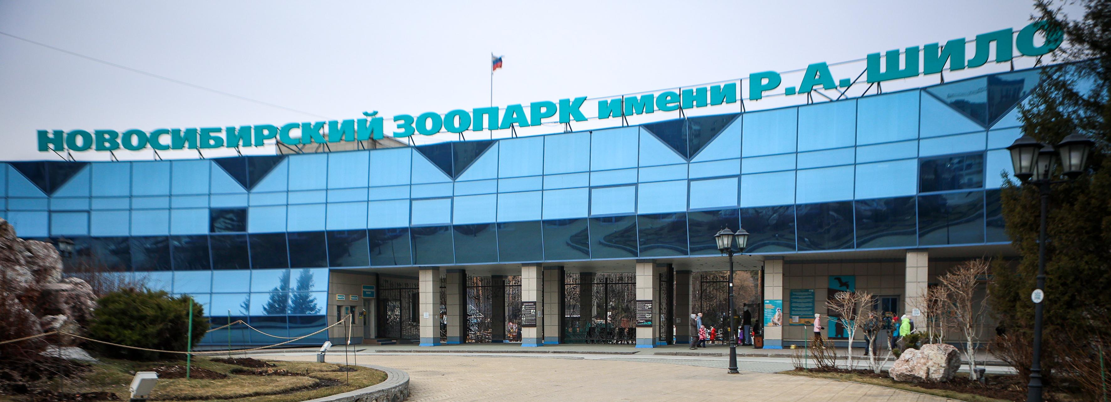 Новосибирский зоопарк бесплатно прокатит пенсионеров на колесе обозрения