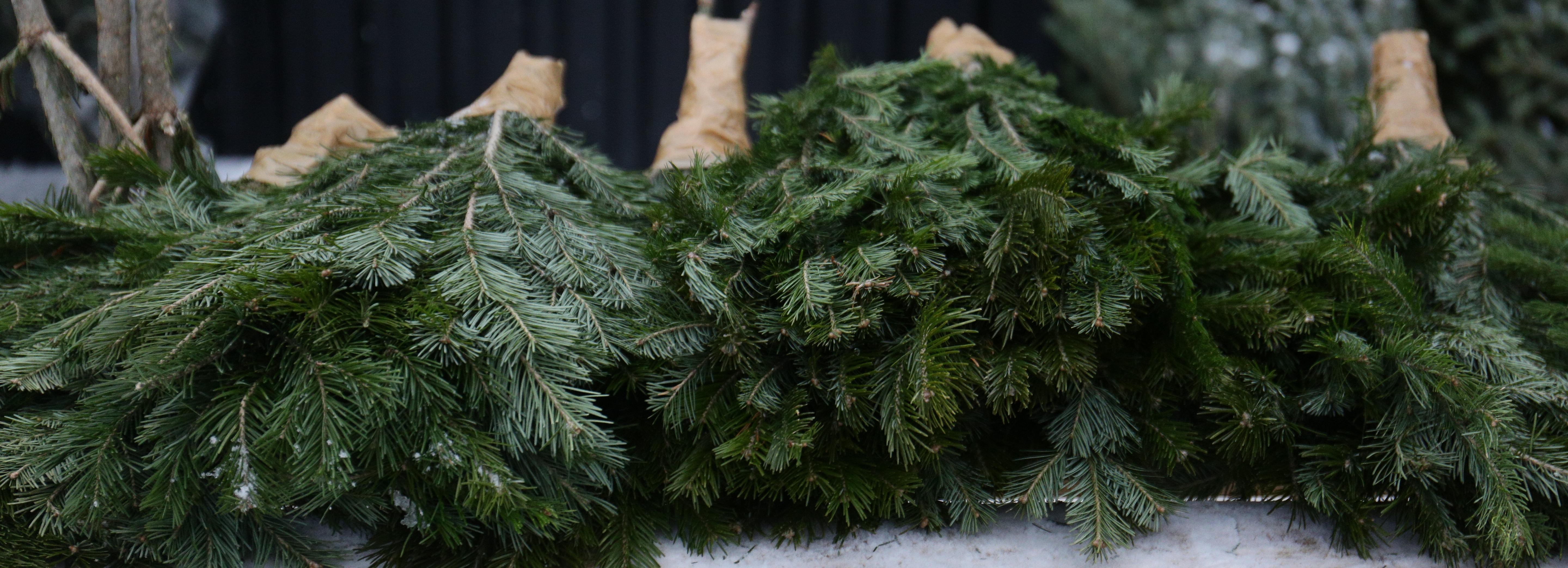 Мэр Кудрявцев рассказал, где откроют ёлочные базары в Новосибирске