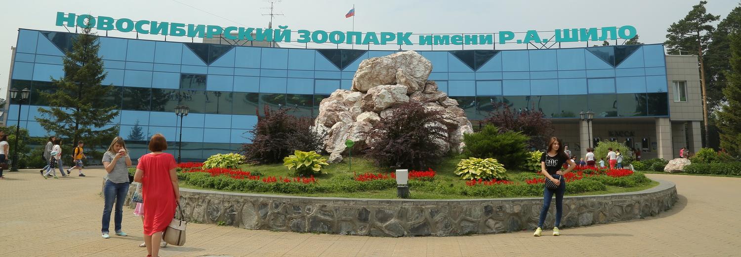 Мэр Локоть назвал условия открытия Новосибирского зоопарка