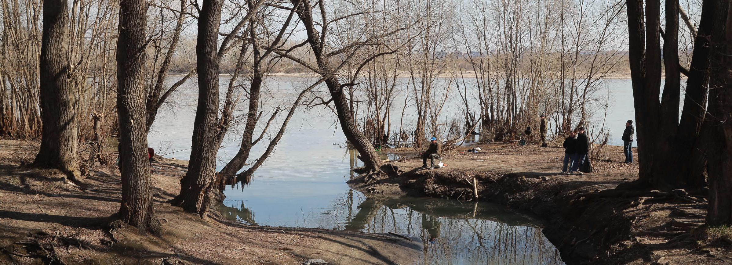 Масштабные работы в парке «Чемской берег» горожане заметят в июне