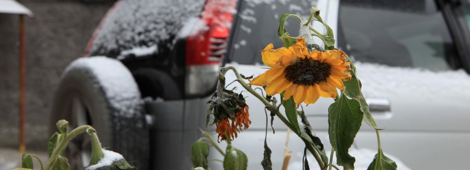 МЧС предупредило новосибирцев о резком похолодании, туманах и гололёде