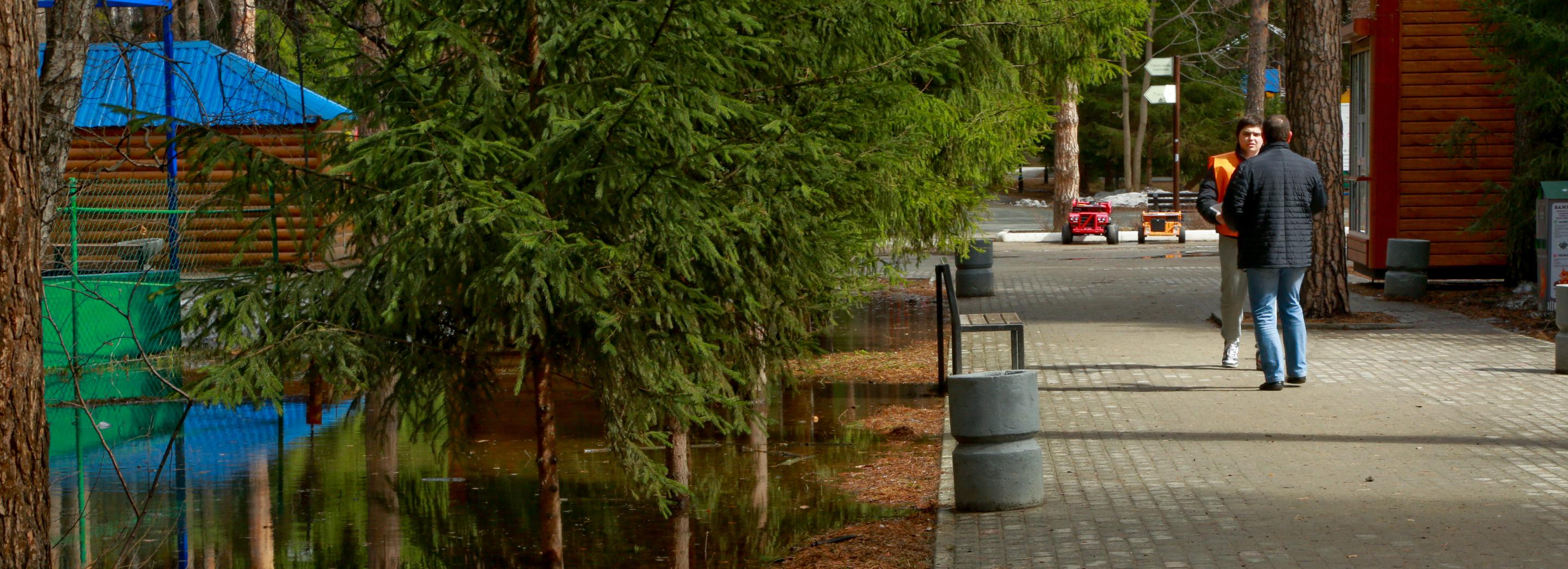 Парк для всех возрастов: как может преобразиться Сосновый бор