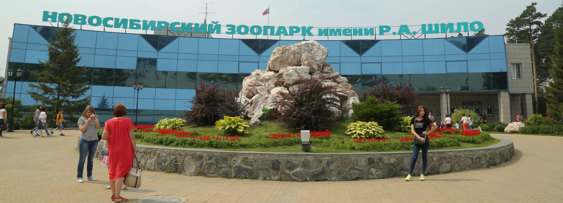 Красавица с голубыми глазами: зоопарк показал подросшего леопарда Хлою