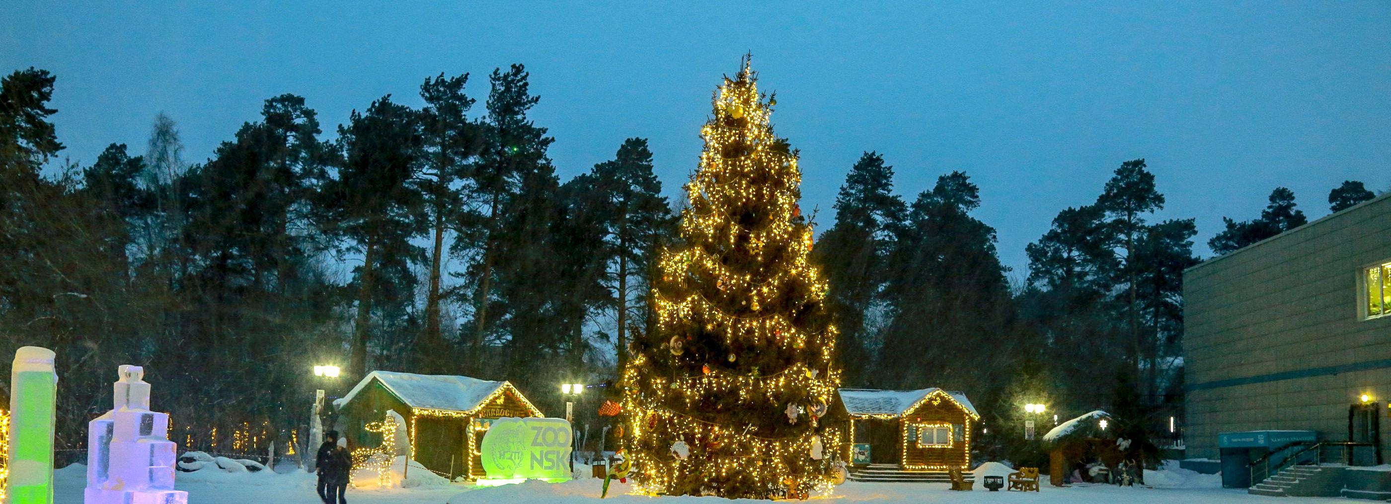 Конкурс ёлочных игрушек объявил Новосибирский зоопарк