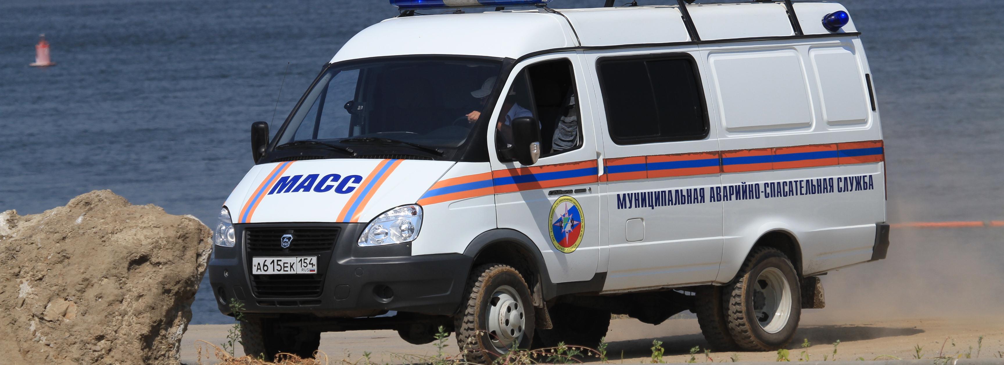 Спасатели помогли слезть с дерева подростку в Новосибирске