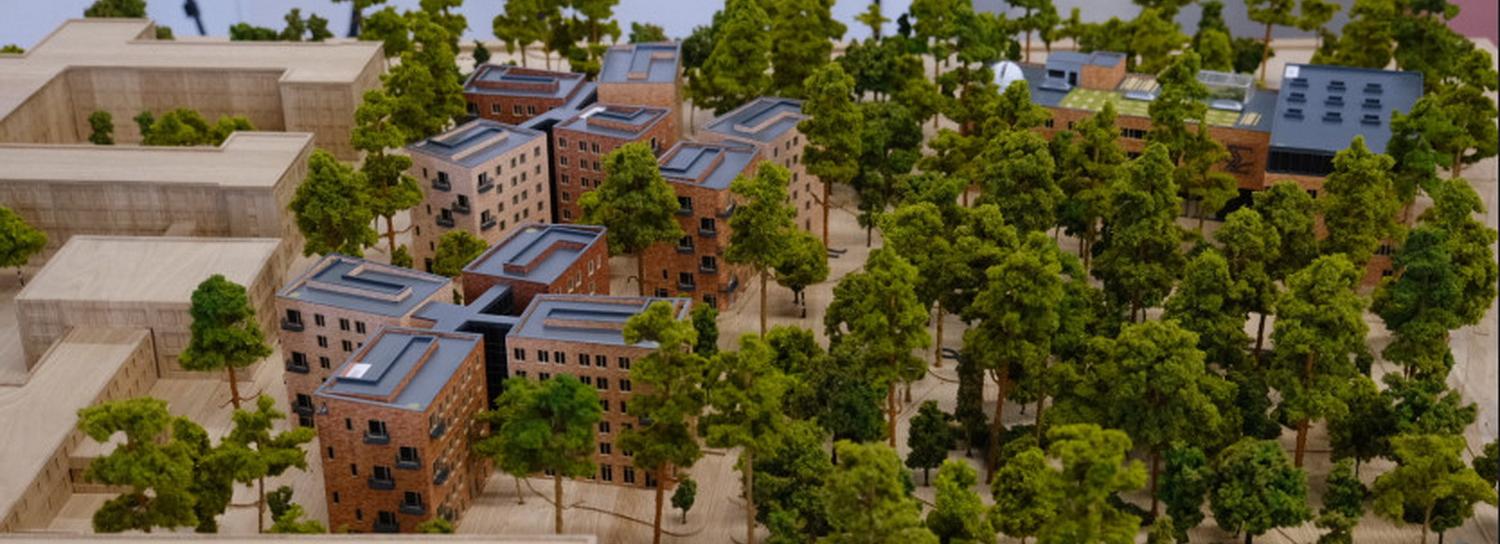 Премьер Мишустин взял под личный контроль строительство кампуса НГУ