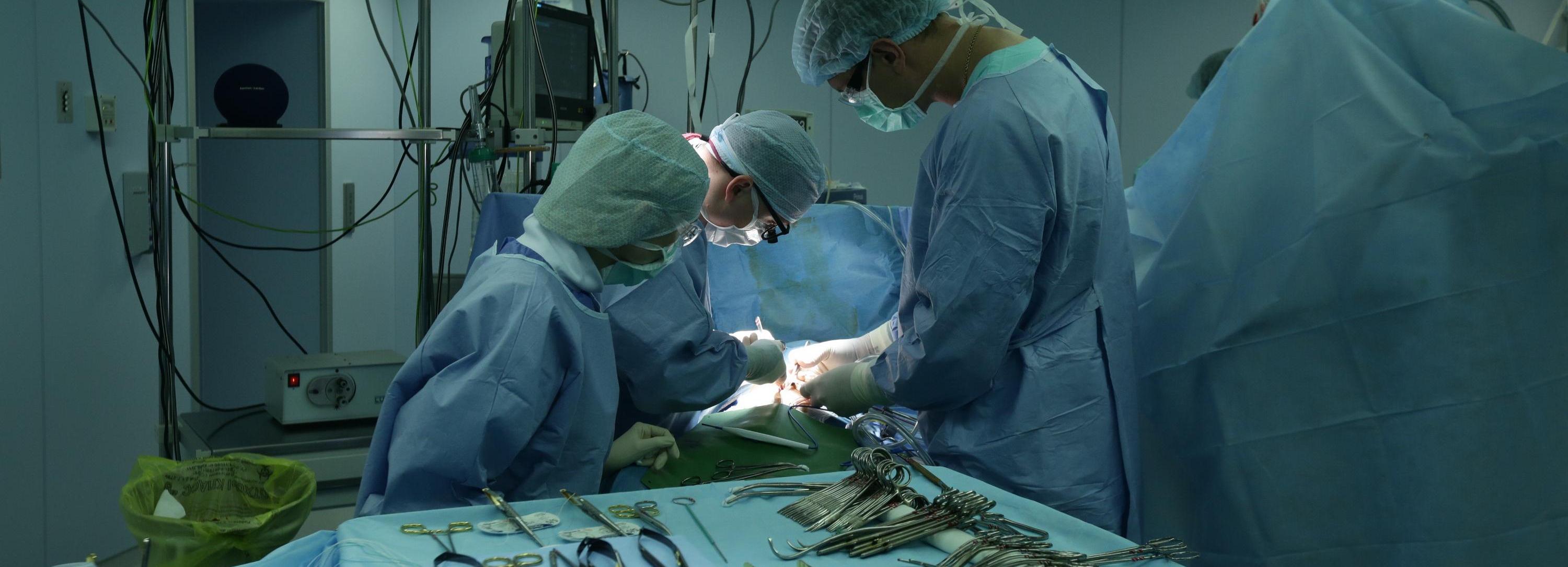 Треть пациентов не доживает до пересадки из-за нехватки донорских органов