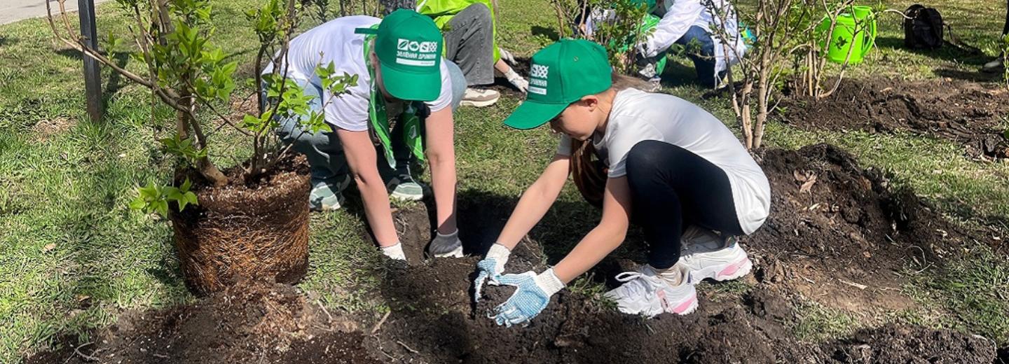 Сирингарий в Центральном парке зацветёт белым, розовым и фиолетовым