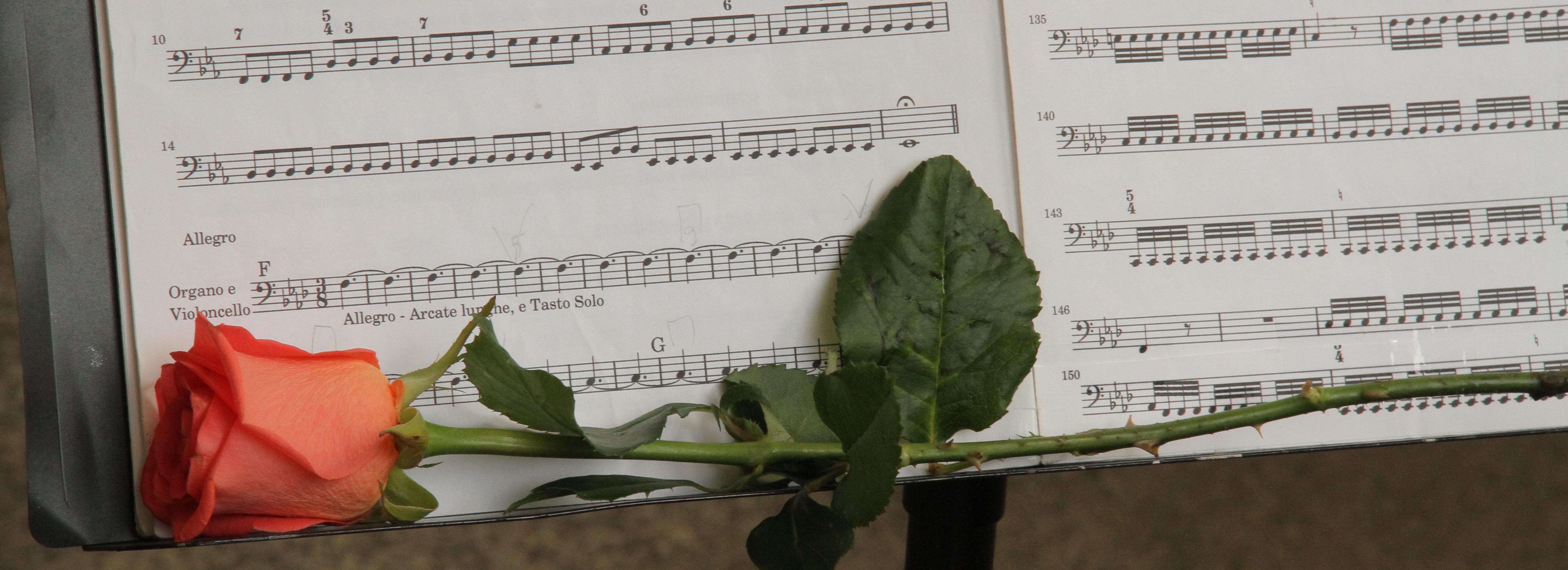 Оркестр под управлением новосибирского дирижёра застрял в Иране