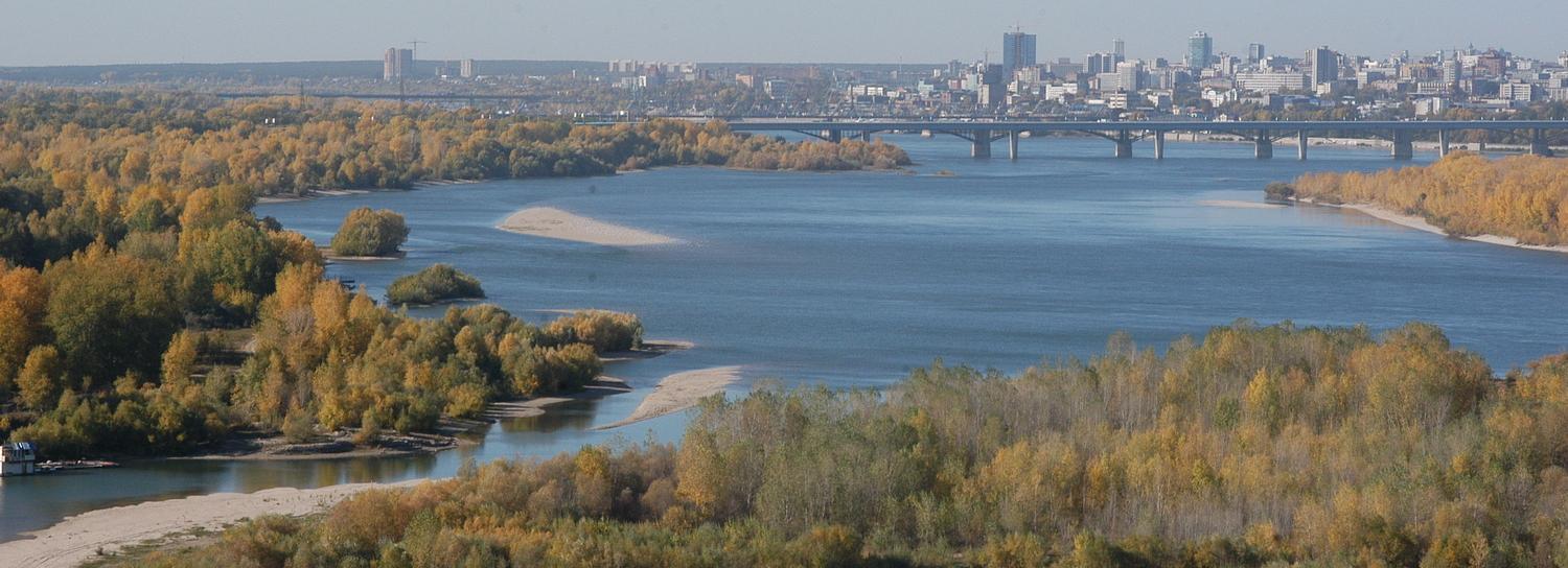 В Новосибирске запустили опрос о территории между ЛДС и Бугринской рощей