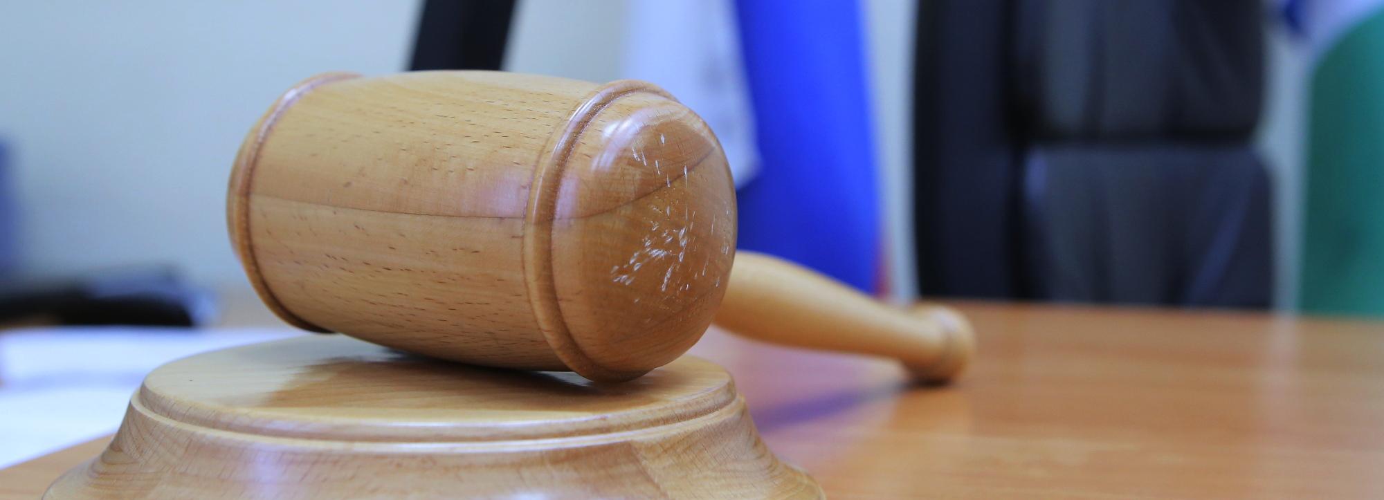 Миллионный штраф взыскали за убийство четырёх лосей под Новосибирском