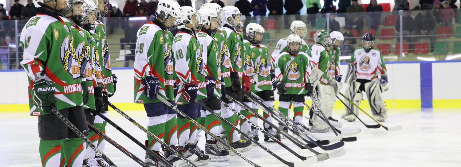 Школу хоккейного мастерства построят на Дачном шоссе