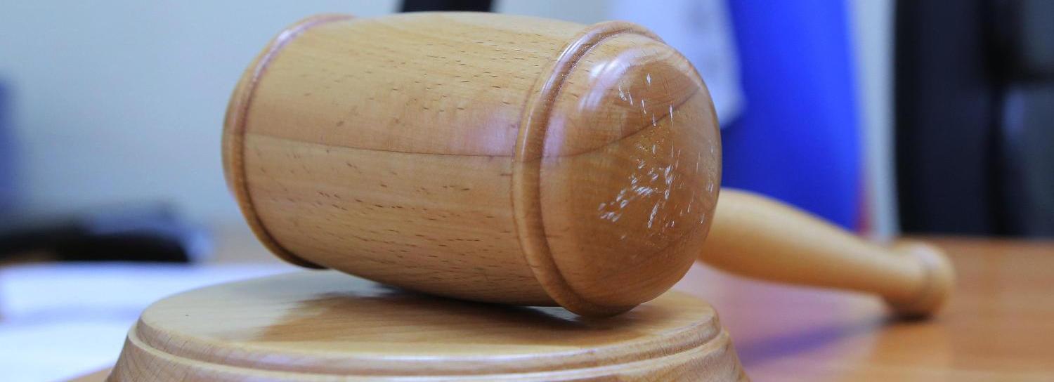 В Новосибирске взыскали ущерб с хозяйки злой собаки