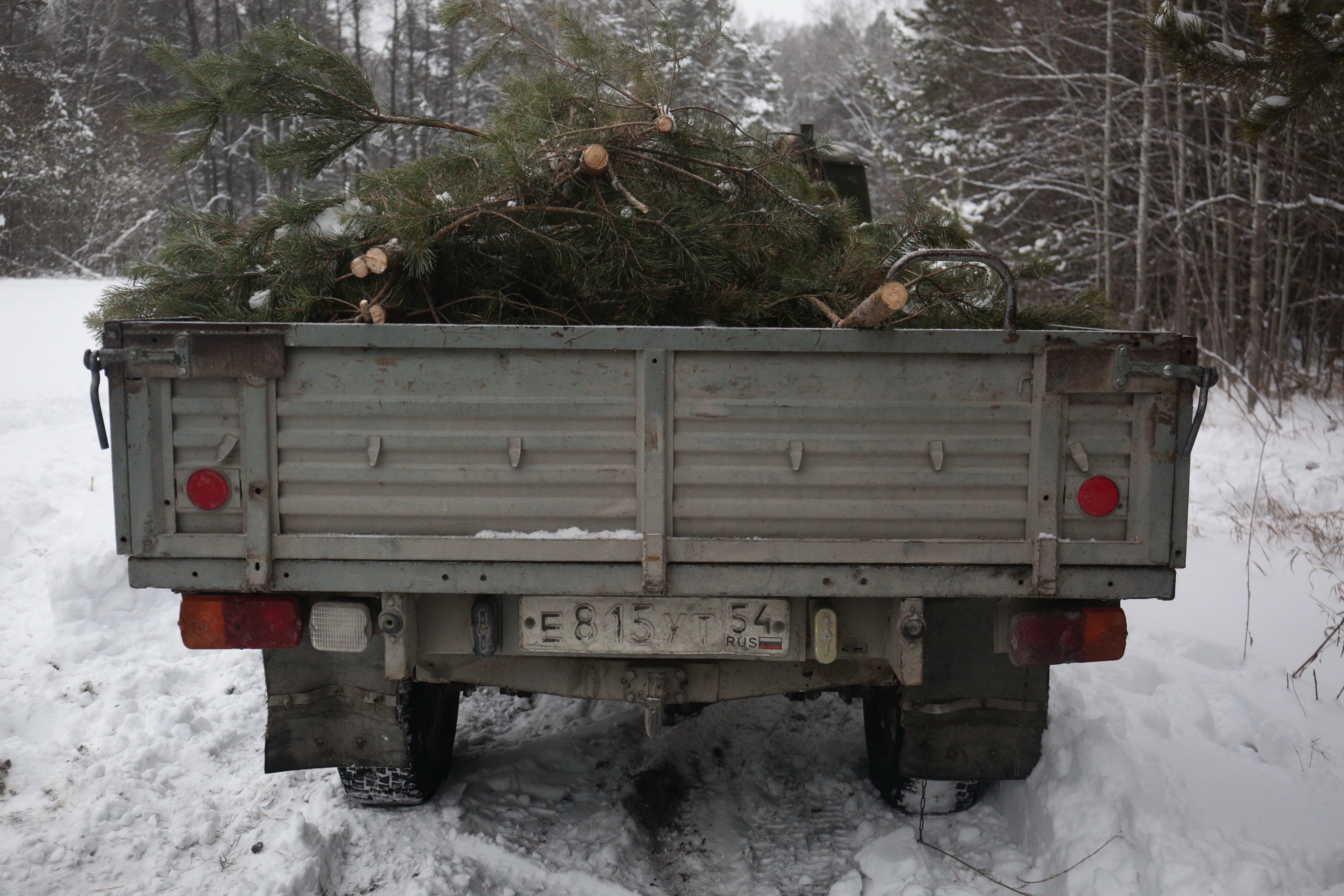 Доесть салаты и вынести ёлку — услуги на Авито после Нового года