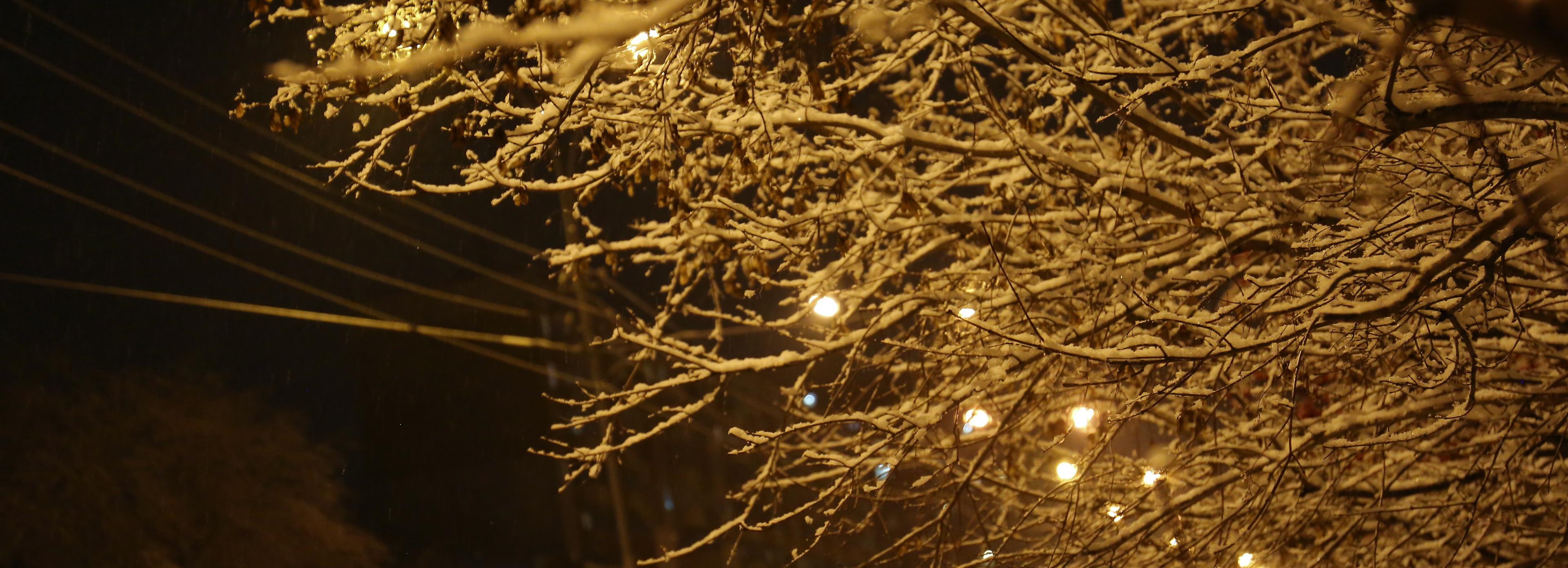 48 светодиодных фонарей «Гроза» установят на улице Тайгинской