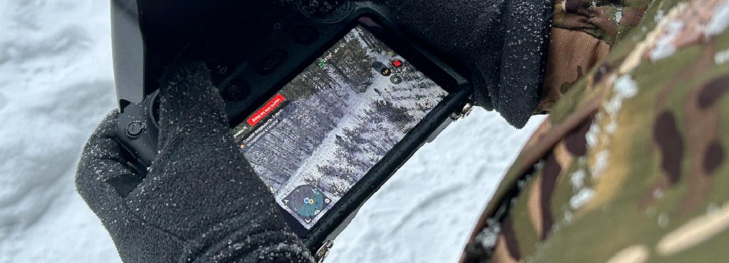 Незаметные человеку гаджеты следят за ёлками в новосибирских лесах