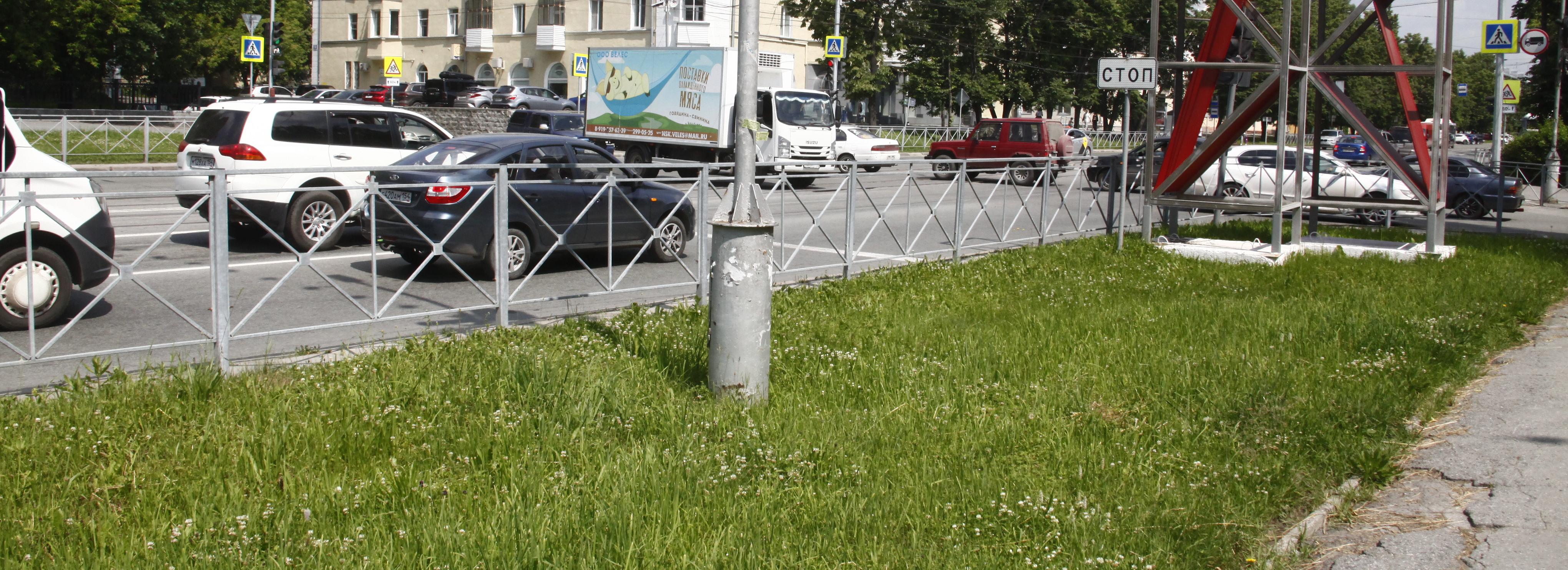 На Богдашке высадят липы и засеют газоны морозостойкой травой