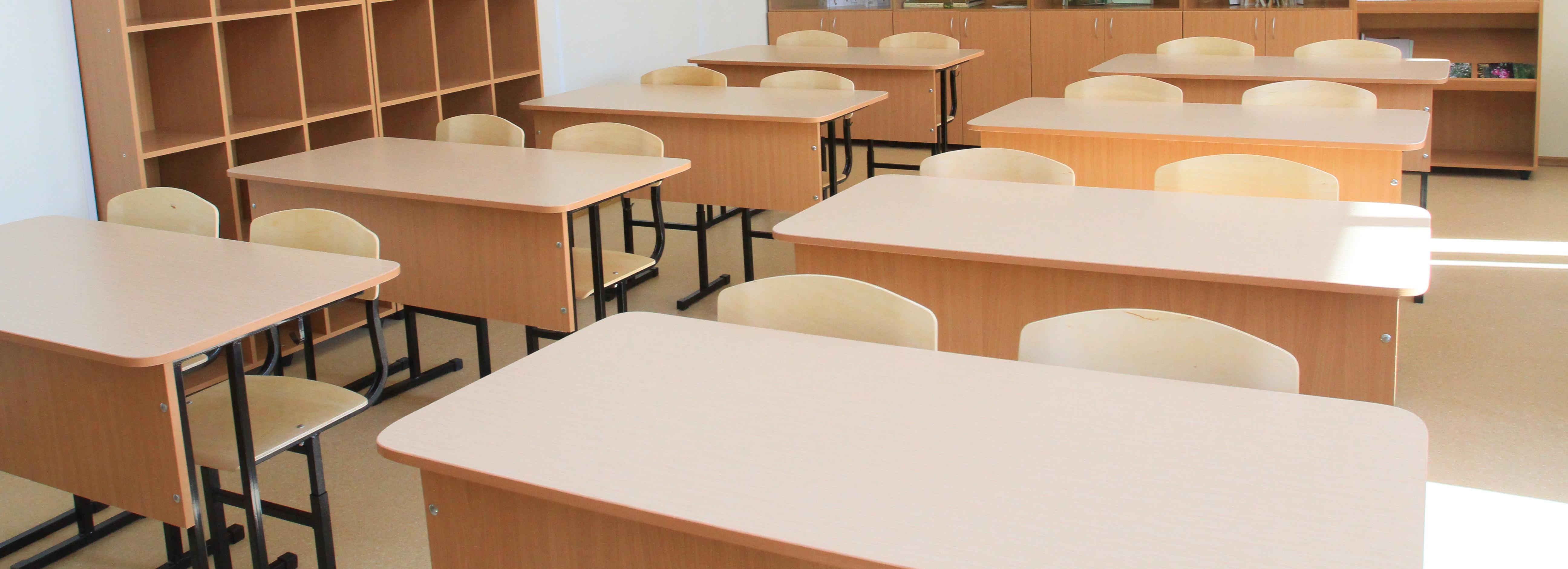 Две школы закрыли на карантин из-за ОРВИ в Новосибирской области