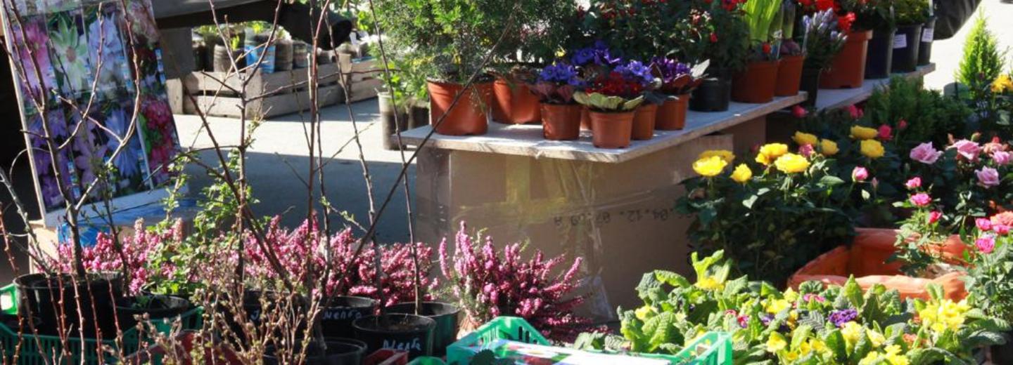 Товары для дачников включили в список необходимых в Новосибирске